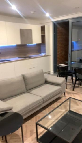 Luxury 2 Bedroom Apartment East London